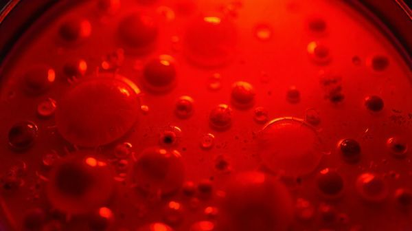 Découvrez comment la lumière rouge favorise la guérison cellulaire